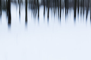 Trees in winter, blurred - AKNF000001