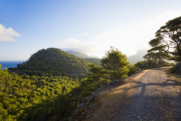 Spanien, Mallorca, Serra de Tramuntana, Wanderweg - MEMF000709