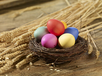 Multicolored Easter eggs on straw - SRSF000576
