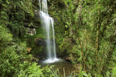 Colombia, Cundinamarca, Las Tapias, waterfall El Chiflon - FPF000032