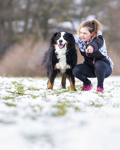 Deutschland, junge Frau mit ihrem Bernhardiner auf schneebedeckter Wiese, lizenzfreies Stockfoto