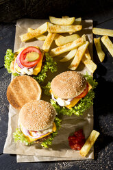 Hausgemachte Cheeseburger mit Pommes frites - MAEF009735