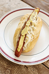 Veganer Hot Dog mit Sauerkraut und Senf auf dem Teller - HAWF000647