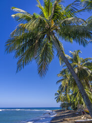 Caribbean, Jamaica, view over the Buff Bay - AMF003791