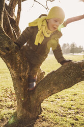 Kleiner Junge klettert im Winter auf einen Baum - MFF001494