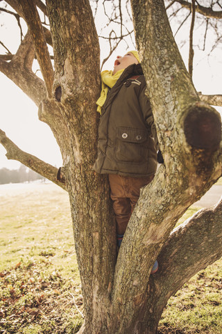 Kleiner Junge klettert im Winter auf einen Baum, lizenzfreies Stockfoto