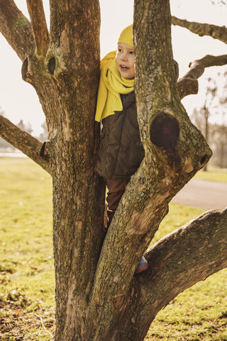 Kleiner Junge klettert im Winter auf einen Baum, lizenzfreies Stockfoto