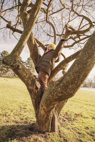 Kleiner Junge klettert im Winter auf einen Baum, lizenzfreies Stockfoto