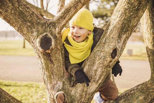 Glücklicher kleiner Junge, der im Winter auf einen Baum klettert - MFF001499