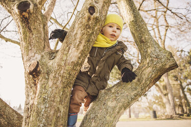 Glücklicher kleiner Junge, der im Winter auf einen Baum klettert - MFF001500