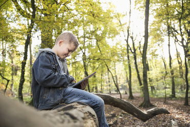 Germany, smiling little boy using digital tablet in a forest - PDF000806