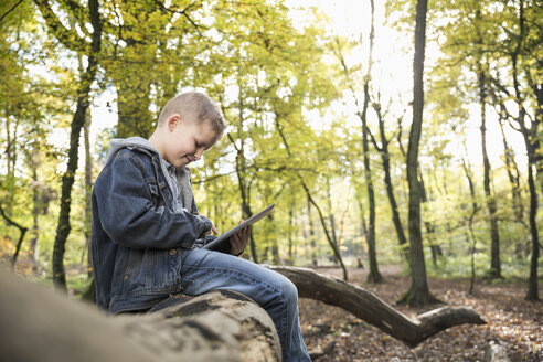 Deutschland, lächelnder kleiner Junge mit digitalem Tablet in einem Wald - PDF000806