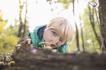 Kleiner Junge beobachtet Pilze mit Lupe in einem Wald - PDF000811