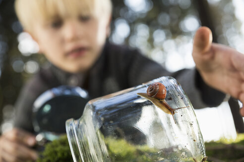 Schnecke auf einem Glas mit kleinem Jungen im Hintergrund - PDF000819