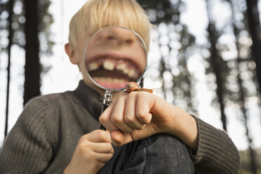 Kleiner Junge beobachtet Schnecke mit Lupe in einem Wald - PDF000823