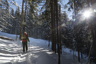 Austria, Tyrol, Schwaz, woman snowshoeing in forest - MKFF000167