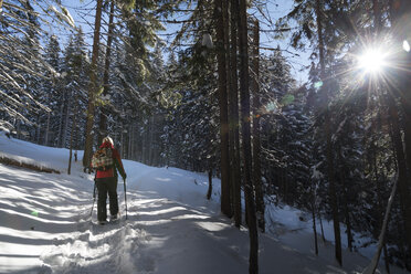 Österreich, Tirol, Schwaz, Frau beim Schneeschuhwandern im Wald - MKFF000167