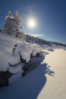 Österreich, Mühlbach am Hochkönig, Winterlandschaft gegen die Sonne - STCF000088