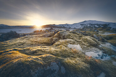 Iceland, Sudurland, coast in the morning - STCF000090