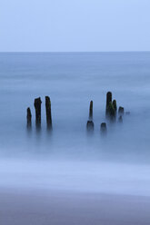 Deutschland, Schleswig-Holstein, Sylt, Rantum, Buhnen in der Nordsee - WIF001432