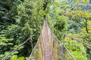Costa Rica, Dschungel, Hängebrücke - THAF001241
