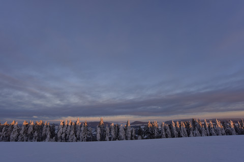 Germany, snow-covered Rhoen in winter stock photo