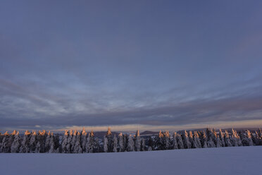 Deutschland, schneebedeckte Rhön im Winter - FDF000086