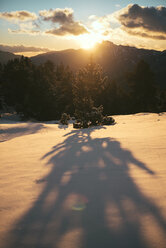 Spanien, nahe Barcelona, Naturpark Cadi-Moixero, Schatten eines Baumes im Schnee bei Sonnenuntergang - GEMF000056