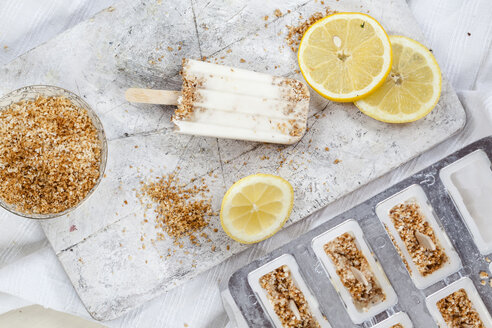 Eislutscher aus Zitronen- und Kokosnusscreme mit gerösteten Kokosraspeln - SBDF001679