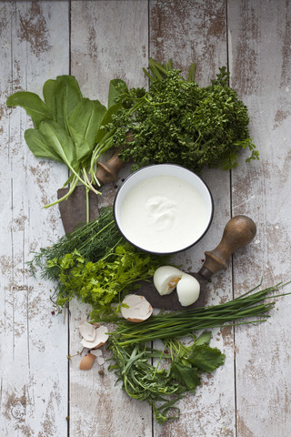 Ingredients of Frankfurt green sauce and mezzaluna stock photo