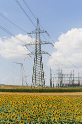 Österreich, Burgenland, Sonnenblumenfeld und Windpark Mönchhof-Halbturn - SIEF006493