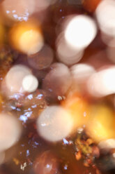 Bokeh mit Laub eines Baumes im Hintergrund - NDF000513