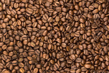 Coffee beans - EJWF000674