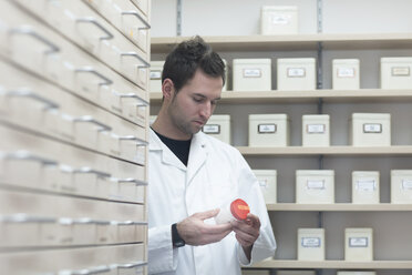 Pharmacist in pharmacy store - SGF001346
