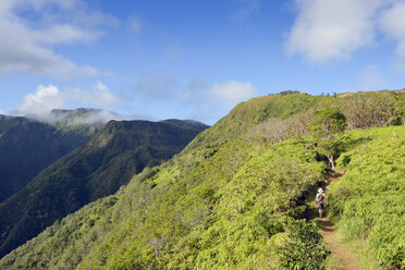 USA, Hawaii, Maui, Frau wandert auf dem Waihee Ridge Trail - BRF000996