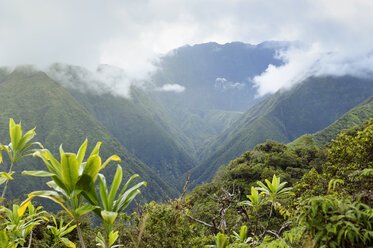 USA, Hawaii, Maui, West Maui Mountains as seen from Waihee Ridge Trail - BRF001004