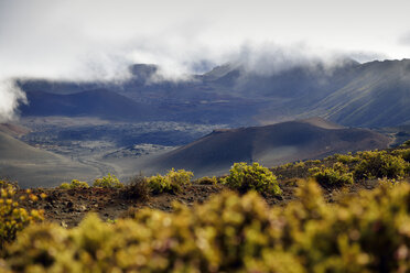 USA, Hawaii, Maui, Haleakala, Vulkanlandschaft mit Schlackenkegeln - BRF001059