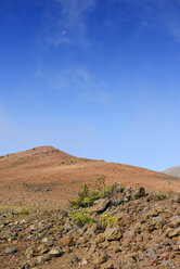 USA, Hawaii, Maui, Haleakala, Vulkankrater mit spärlicher Vegetation - BRF001063