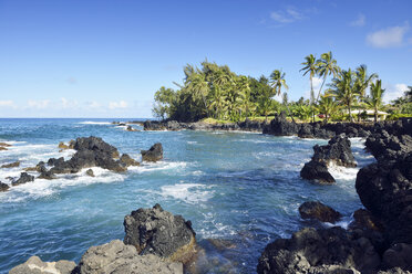 USA, Hawaii, Maui, Wailua, Nuaailua Bay with palm trees at the coast - BRF001092