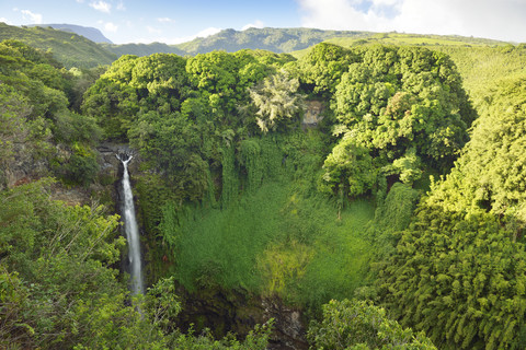 USA, Hawaii, Maui, Haleakala-Nationalpark, Makahiku-Fälle, lizenzfreies Stockfoto