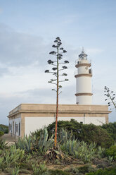 Spanien, Mallorca, Leuchtturm von Cap de ses Salines - MSF004483