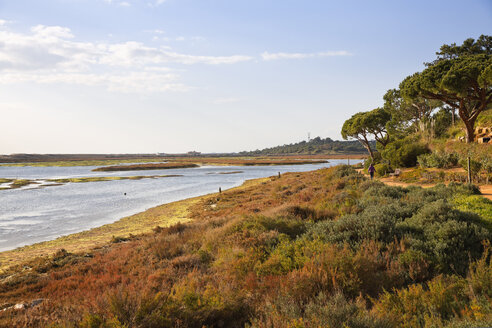 Portugal, Algarve, Naturpark der Ria Formosa - MSF004500