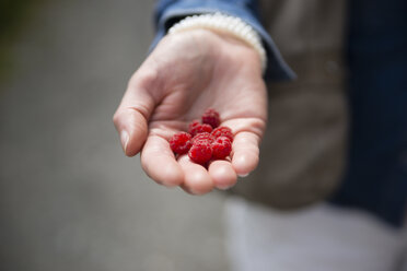 Hand einer Frau mit roten Brombeeren - CHPF000074