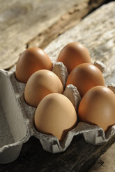 Egg box with six brown eggs - LBF001066