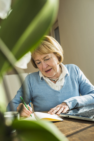 Ältere Frau zu Hause mit Laptop und Notizbuch, lizenzfreies Stockfoto
