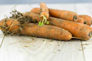 Organic carrots - JUNF000227