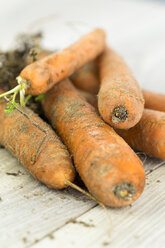 Organic carrots - JUNF000228