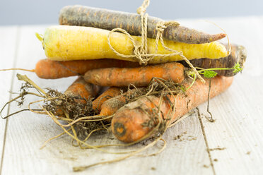 Different sorts of organic carrots - JUNF000229