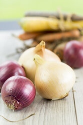 Red and white onions - JUNF000232