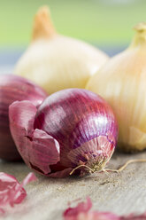 Red and white onions - JUNF000233